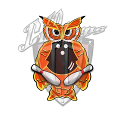 Team Logo